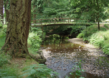 Contact Two Rivers Reach for short breaks in Christchurch, Dorset